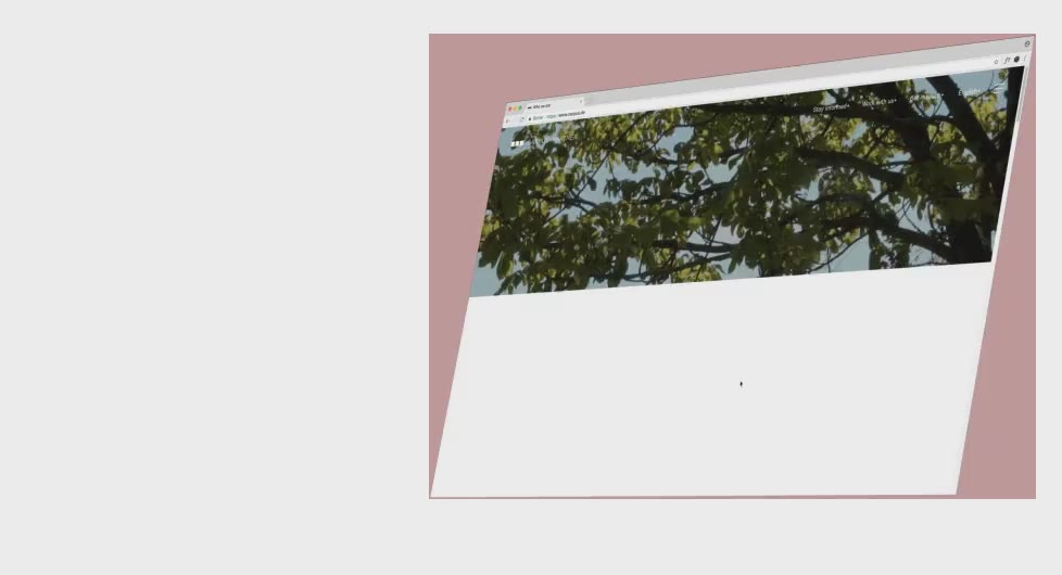 Fallback Image